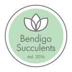 Bendigo Succulents 